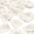 product-image-2.jpg