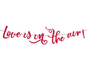 Girlanda papierowa Love is in the air 200 cm