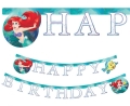 aace11fc42e73066d5fff12f1b55ba5e
