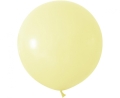 535bd6f254a0d115c12dc7fceea50caf