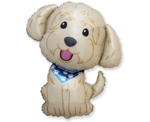 Balon foliowy 24 cale - Pies Cobberdog pakowany